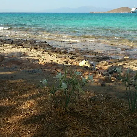 Astarte Sea